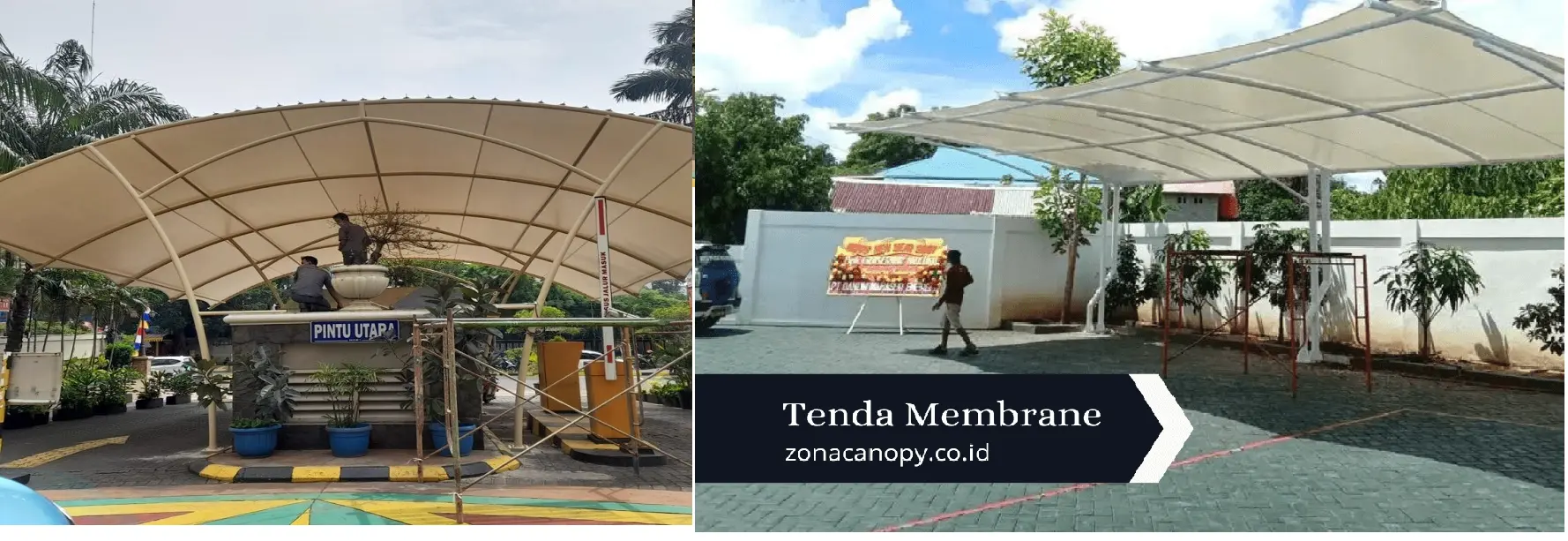 Canopy Membrane cinere